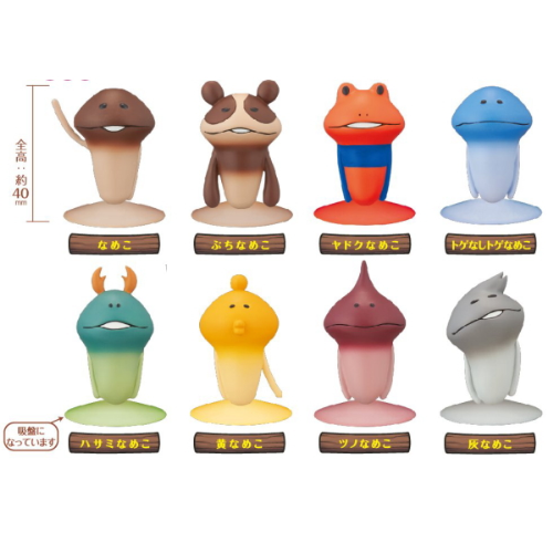 食玩王国オフィシャルウェブサイト なめこ栽培キット なめピタ6