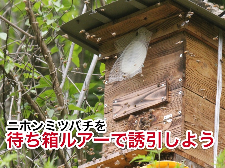 ニホンミツバチの重箱式巣箱(蜂箱、養蜂箱)の作り方